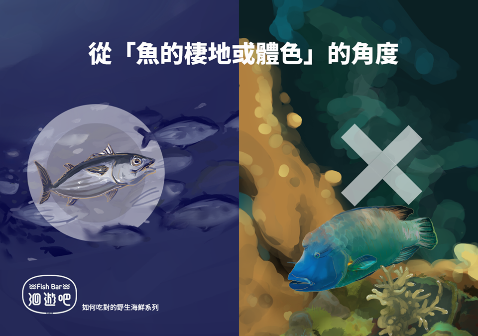 47_f8195a34.png